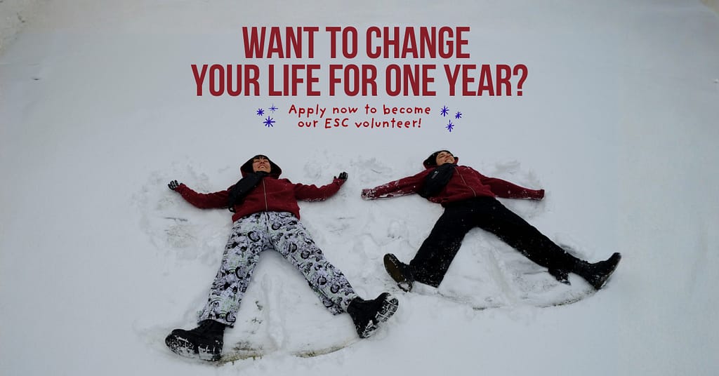 A2 newsletter