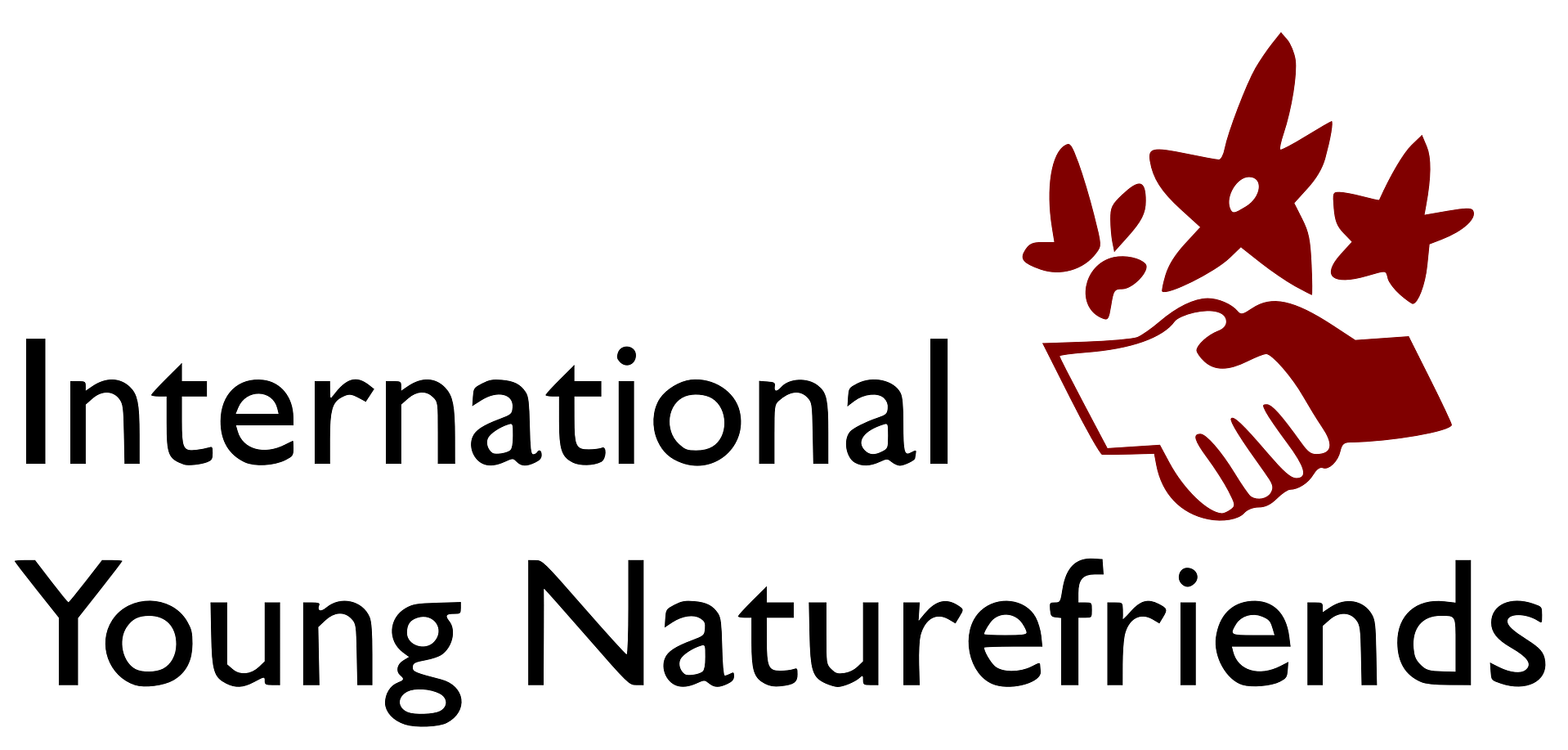 IYNF logo (high resolution)