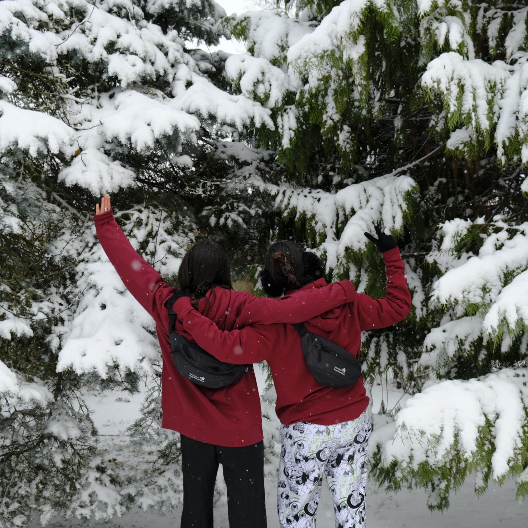 Secretariat Hero Picture